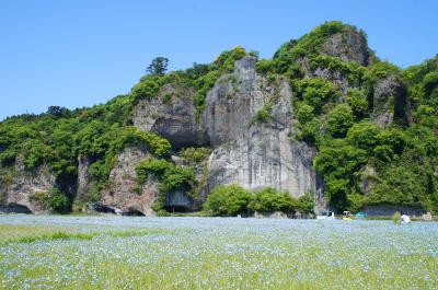 ＧＷちょっとおでかけ　青の洞門とネモフィラ