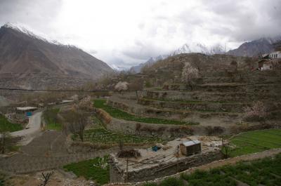 花の桃源郷フンザを歩く 2 (5日目)