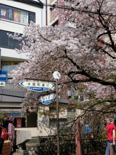 正味滞在20時間・姉小路、木屋町、花見小路、白川、先斗町、寺町の通りを歩く