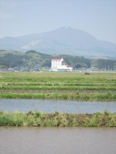 泉ヶ岳山麓に春の息吹を探すドライブの旅