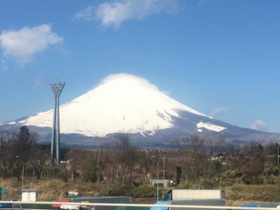 伊豆のいちご狩りと足湯を満喫したよ～