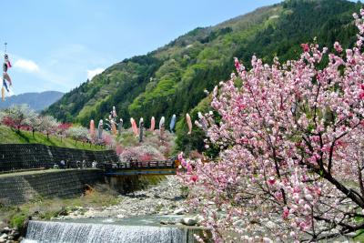 長野 ＊花桃祭り＊元善光寺＊聖光寺＊