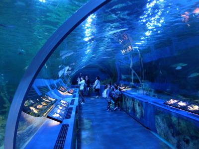 しながわ水族館と公園　上