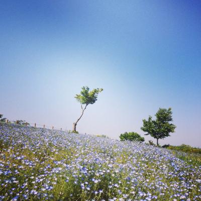 ひなたぼっこin馬見丘陵公園