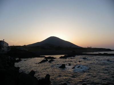 ソリちゃんの八丈島旅行記