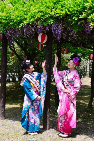 中津みなとふじまつり