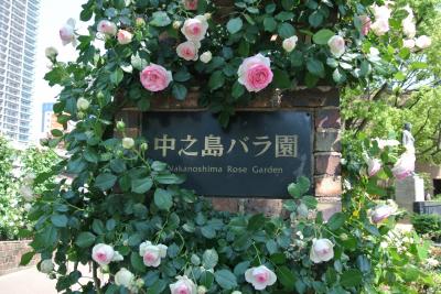 大阪・中之島バラ園に行ってきました