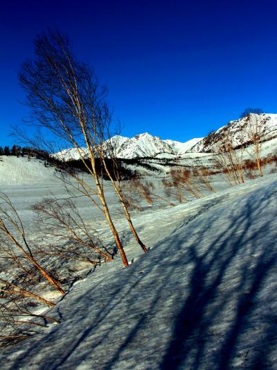 lrg_10886211.jpg?updated_at=