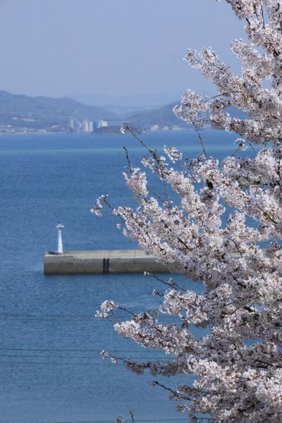 さぎ島みなとの丘公園 (佐木島さぎ地区） 2014