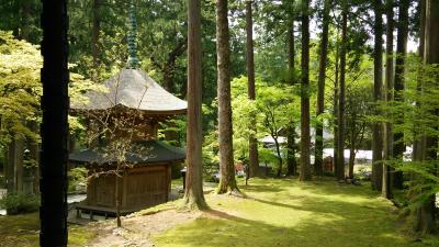 drive drive drive to 永平寺