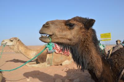 マラケシュと１泊２日の砂漠ツアー