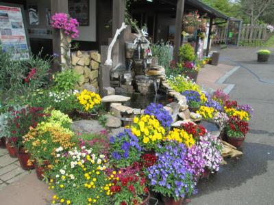 寒っ！！久住ひとっ走り