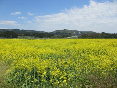 2014.5 東北・鳴子温泉～岩手・一ノ関へ