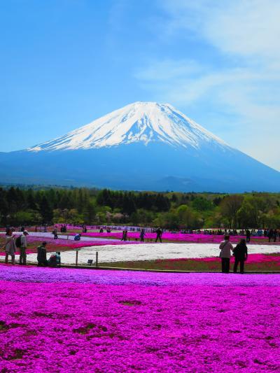 山◆絶景の富士山ざんまい！　【富士芝桜祭り＆竜ヶ岳登山】