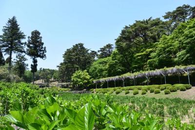 自転車でGO！ 虹の郷へ 2014.05.09 =3.虹の郷 (2/2)編=