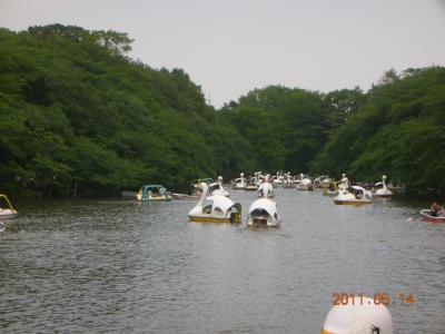 井の頭公園・一人ぶらり散策