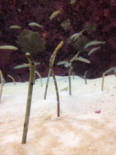 沖縄へ卒業旅行 3日目