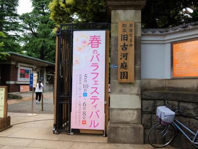 春のバラフェステイバル旧古河庭園　２０１４　上