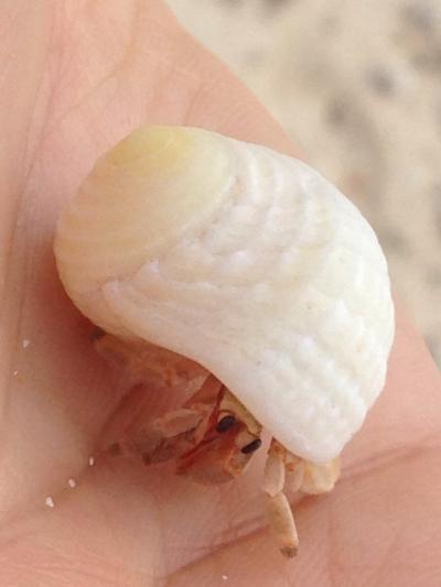 再び宮古島へ 2日目