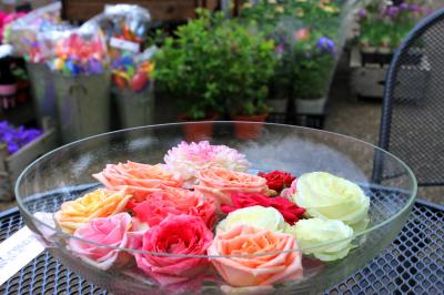 GWは比叡山ドライブウェイ～夢見が丘～ガーデンミュージアム比叡～延暦寺へ