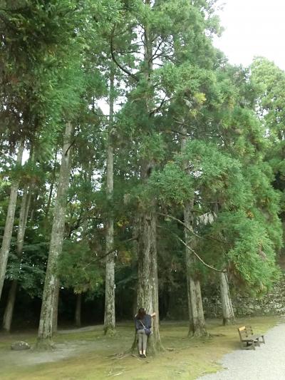 やっぱり雨！それでも楽しい宮崎①～日南・鵜戸神社・飫肥編～