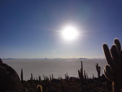 2014GWボリビア・チリの旅 ＜標高4000m アンデスの乾いた大地を駆け抜けるウユニ発サンペドロ・デ・アタカマ越えルート＞ ③ 行ってみないと分からないウユニ。誤算もあったけど、1Dayツアー参加。