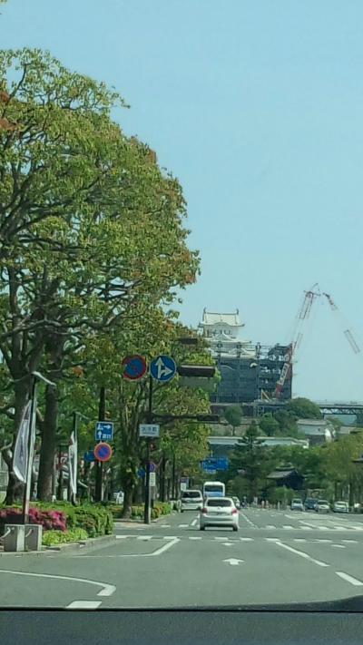 動物園・水族館をめぐる旅　三日目（すこし姫路観光）