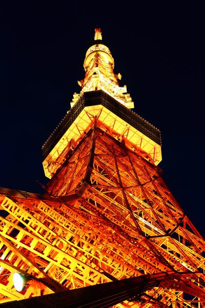 ★東京 Night Towers★