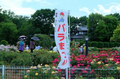 ニューシャトルで行く伊奈町のバラまつり　２