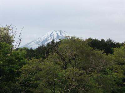 ヒシヒシと、獅子を・・・（静岡県 御殿場市）