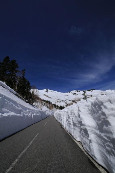 白い壁　春の模様に　緑の絨毯（字余り）　GW後半は長野へ　＝その1＝