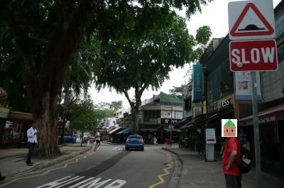 6年ぶりのシンガポール~③朝から筋肉痛、朝から肉、ホランドヴィレッジ訪問~