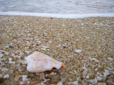 長崎港の沖合に浮かぶ小さな小さなリゾート地    「やすらぎ伊王島」