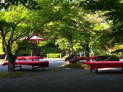 新緑の京都 その3　永観堂編