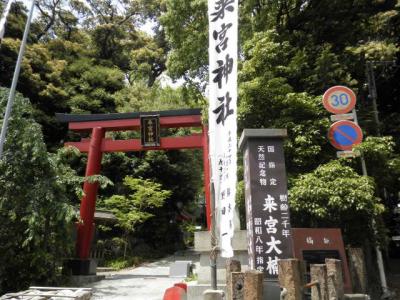 2014 05 両親とぶらり熱海 来宮神社へお礼参り