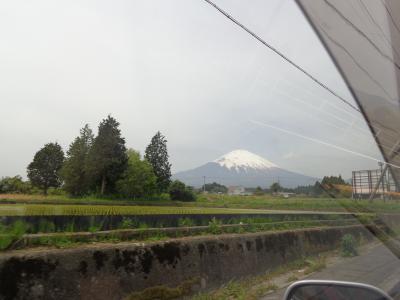 初・富士芝桜見に行ってきました。