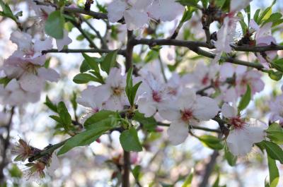 シチリア島周遊12日その2