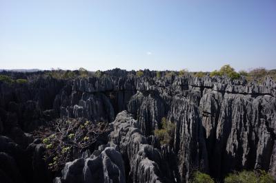 ２０１３夏 マダガスカル旅行記（７）大ツィンギー灼熱のトレッキング