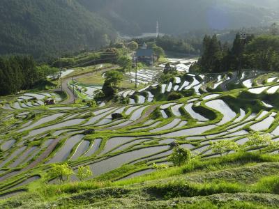 クレージー紀伊半島③ 最速の熊野古道 通り峠編 (丸山千枚田、湯ノ口温泉、トロッコ列車)