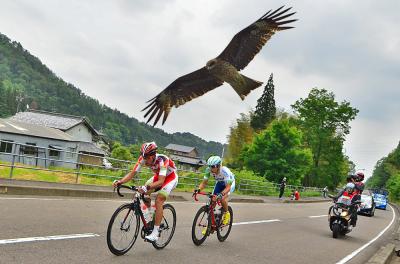 日本で最大級の国際公認レース『17th TOUR OF JAPAN』美濃ステージ