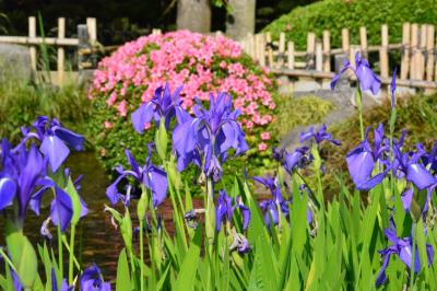 金沢遠征 その2:金沢