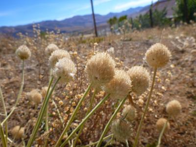 2014GWレソト旅行③(モコトロン編)