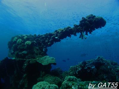 69年前の戦場へトラック諸島でDIVE！～特設航空機運搬艦 富士川丸(FUZIGAWA MARU)～