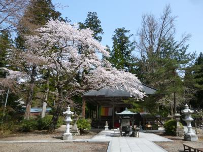春まっさかりの仙台へ