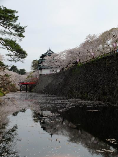 2014 GW旅行　⑤弘前城の桜とアップルパイ、そして青森へ・・・