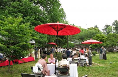 新緑のもとで・・・大茶会とボサノバの休日