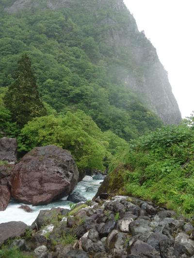 小滝川ヒスイ峡に翡翠を取りに。もちろん，取れませんでした。