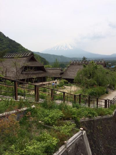 マラソン大会応援と藁葺き屋根にいってみた。