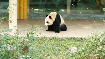 初めての中国一人旅と中国の結婚式♪④