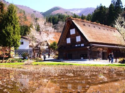 日本ぶらぶら・白川郷編